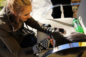 Senior Lily Foguth pets  a friendly kitty while visiting Heidelberg Project during her field trip to the Detroit Institute of Art 