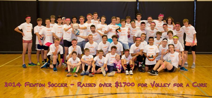volley for a cure-soccer