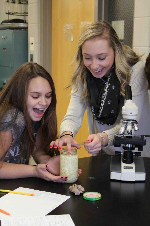 Sophomores Olivia Dorenzo and Michaela Youngs work on their lab in teacher Lisa Stewarts biology class.