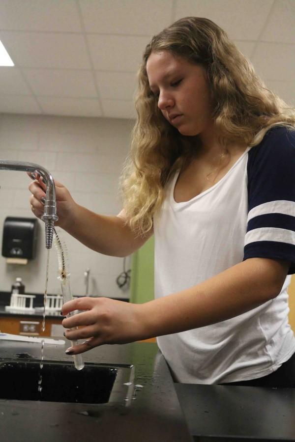 Sophomore Katelyn Ball participates in a liver lab for Christa Shulters biology class.