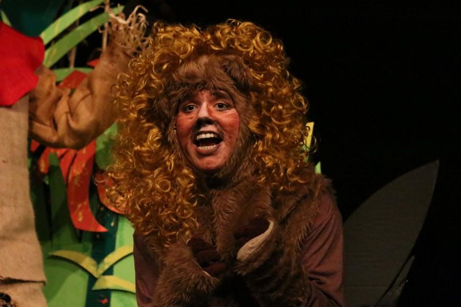 Theatre puts on a production of Wizard of Oz for Children’s Play