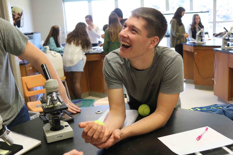 Along with his Anatomy classmates, junior Ethan Krantz participates in a muscle fatigue lab. The class was given a chocolate themed scenario that was linked to their lab, in which they had to find their own solution to.