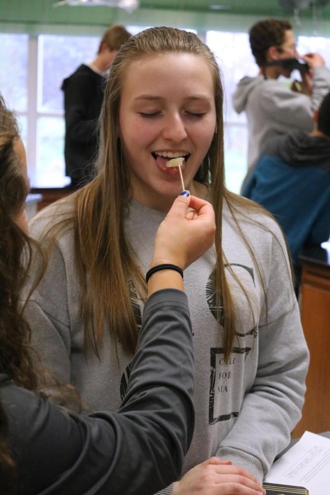 Junior Alivia Burton, guesses which fruit she is tasting in  Anatomy and Physiology lab may 5.