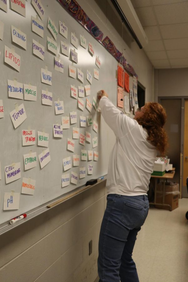 Anatomy teacher Lisa Stewart  sets up an exam review game for her classes. Exams begin  today with the 4B exam. 
 