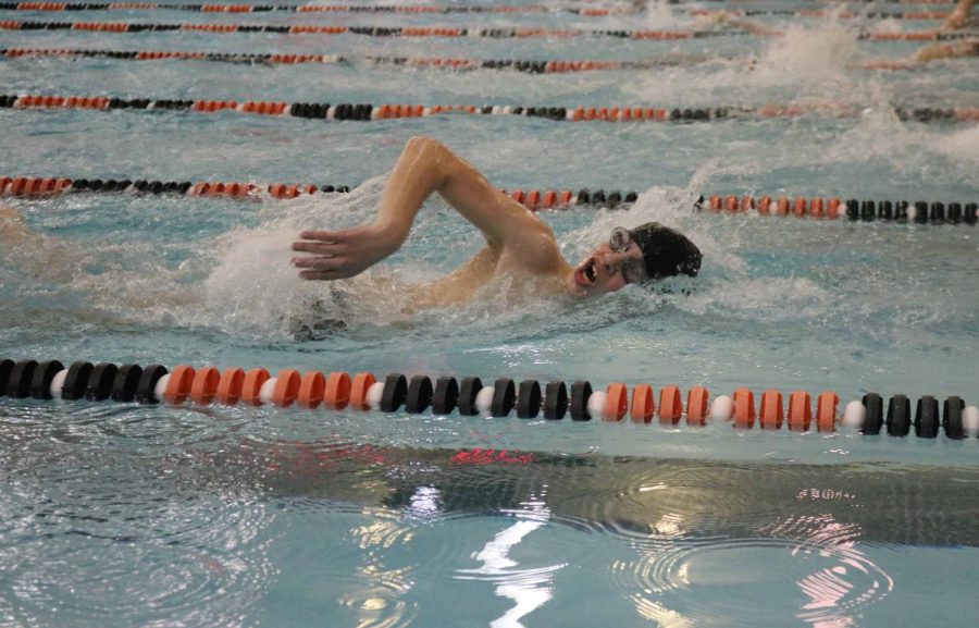 Junior Farid Cashmere comes up for air as he is swimming in the 100 yard freestyle. Cashmere was competing against many other schools to compete in the Countys finale on January 20.  