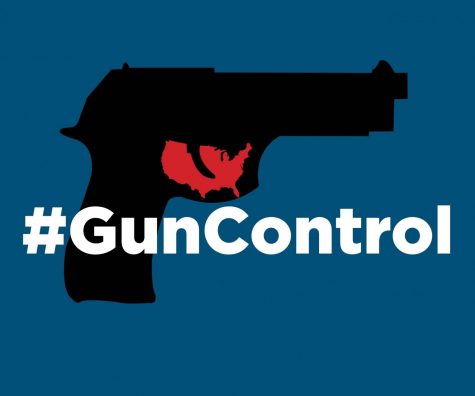 In regards to the recent Marjory Stoneman Douglas school shooting the government needs gun control laws