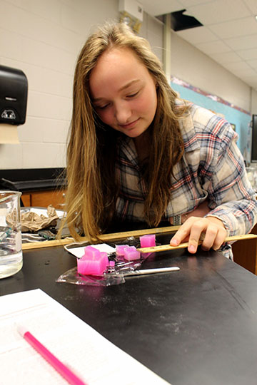 Before her lab, junior Abbey Lamb measures her materials to prepare. The anatomy class fed vinegar to their slime.