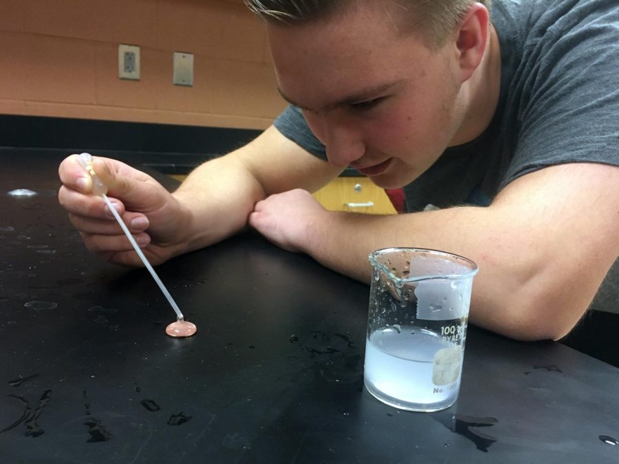 Trying to fit as many drops as he could on a penny, sophomore Tate Temrowski conducts a experiment. The chemistry students tested water tensions of different liquids.