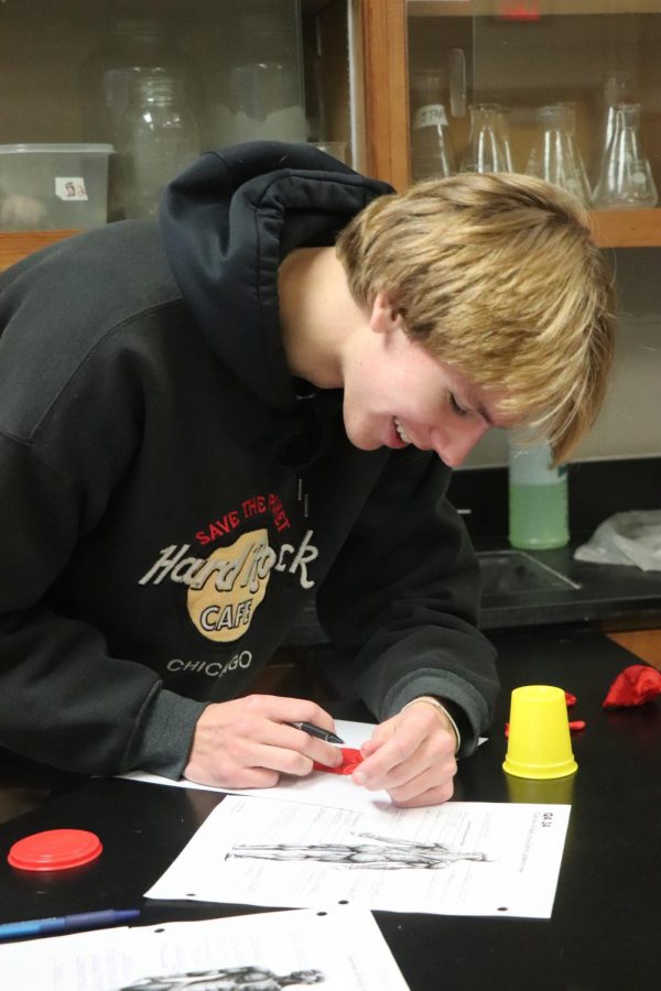 During his anatomy class, Junior Devon Cherney attempts to recreate the human body with Play-Doh. Many students enjoy Lisa Stewarts class because of the labs and activities that she has them complete.