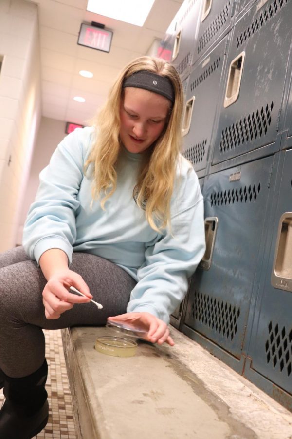 While finding germs around the school, sophomore Jillian McVey goes into the girls swim locker room. After putting the Q-tip down the drain, McVey places it in the container to examine later. 