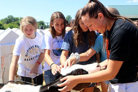 At Cooks Dairy Farm, freshmen Adrie Staib, Grace Maccaughan and Lilly Philstrom pet a calf. The freshman, JV and varsity volleyball teams went to the farm for their Got Milk grant.
