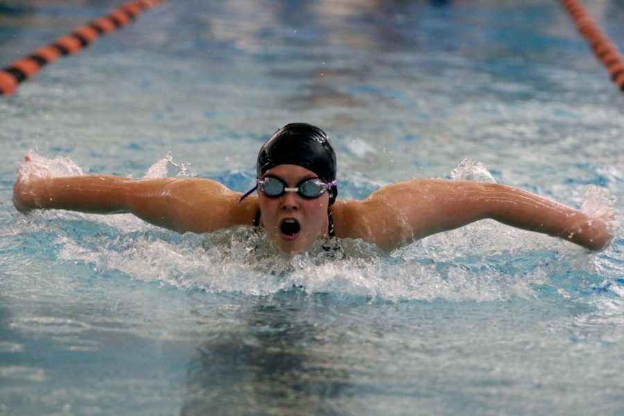 As freshman Megan Pihalja pops up for air as she swims the 100m butterfly. On Oct. 23, Fenton Defeated Holly, Kearsley and Lake Fenton. 