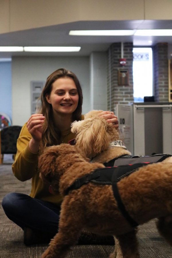 Petting Tomek-Easterns therapy dog, Charlie, senior Erica Behnfeldt plays with the dogs. On Feb. 20, the Fenton Area Public Schools therapy dogs came to visit. 