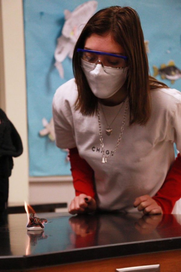 Sophomore Ella Drake inquires in a scientific lab on Nov. 11 in Ms. Shulters biology class. 