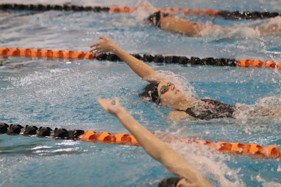 Junior Abby Carrigan concentrates on her stroke in the 100 yard backstroke race. On Oct. 22 the Tigers swim and dive team defeated Owosso. 