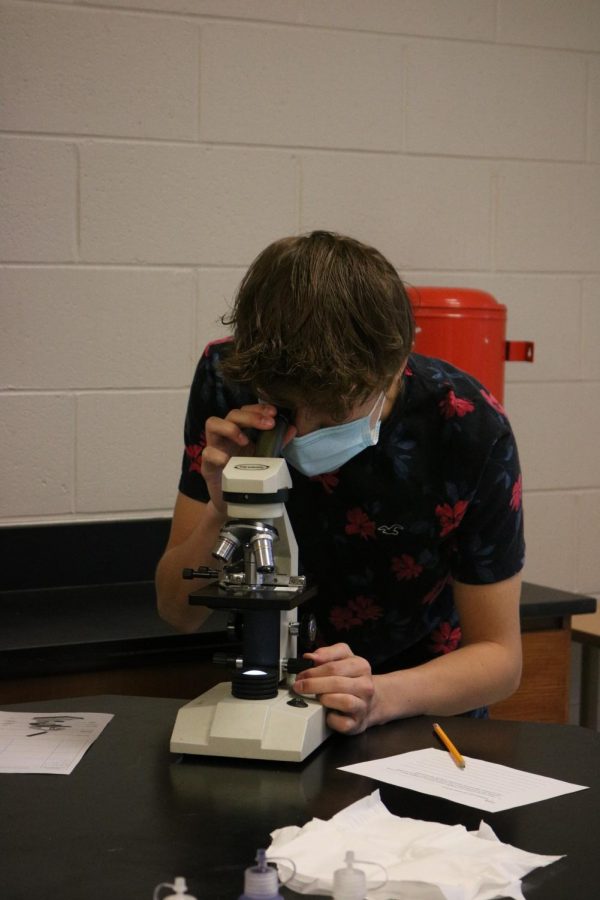 Focusing the microscope, sophomore Ethan Radloff looks at samples of bacteria. On Apr. 21 biology classes did a lab to learn how to use microscopes. 
