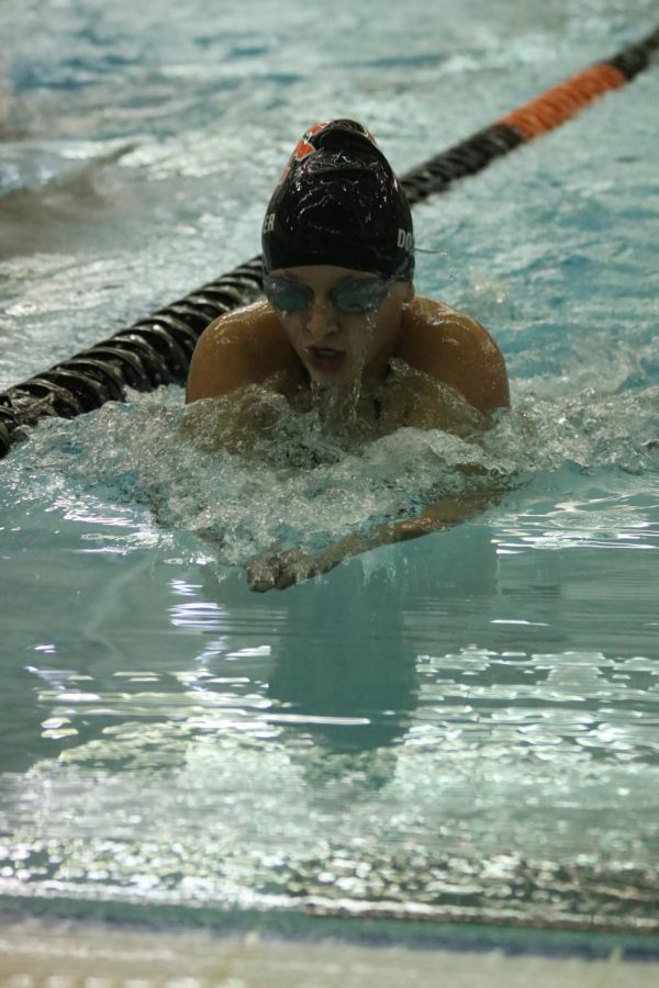 Coming up for a breath, freshman Addison Dolliver swims into the wall.  On Sept. 9 the Fenton Swim and Dive team had an outstanding win against Holly. 