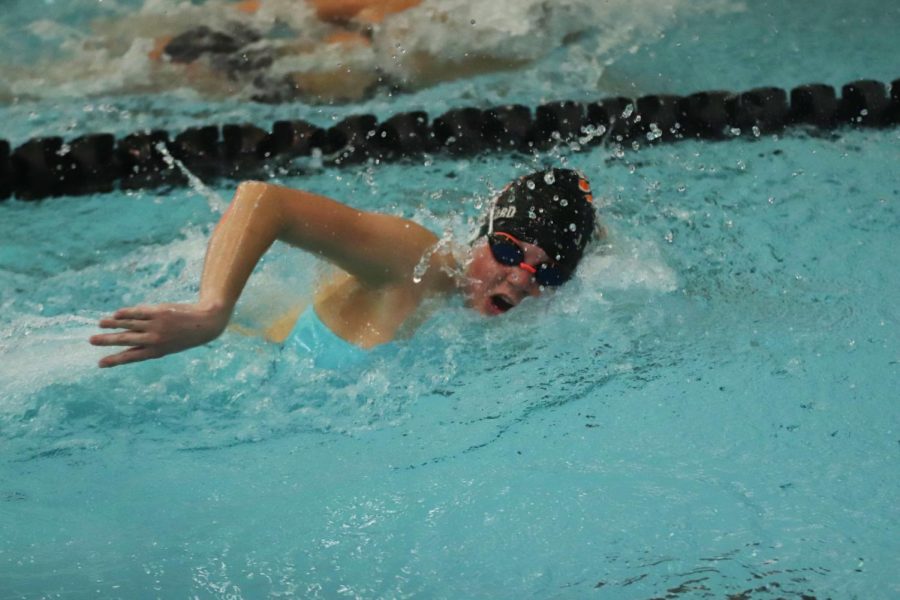 Swimming to 200-yard freestyle, sophomore Julia Blanchard races to the wall. On Sept. 25 the Fenton Swim and Dive team took second in the County Meet. 