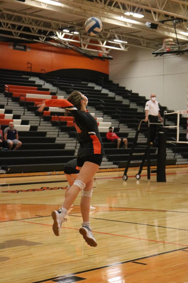 Maddy Stevens is setting up a serve to start the game. On Oct. 20, Fenton varsity volleyball won against Holly. 