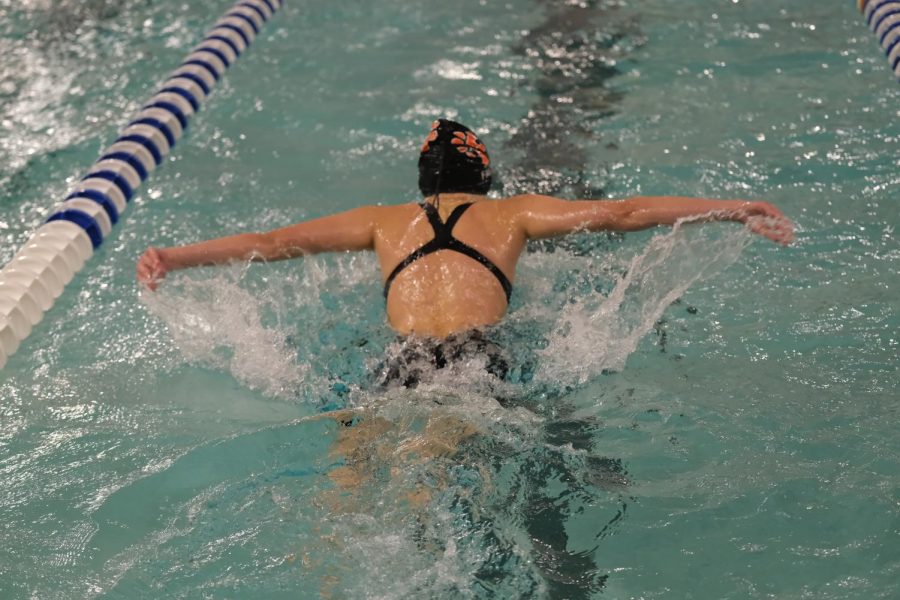 Freshman Lilah Falvo pushing herself through her final lap trying to reach the touch pad as fast as she can.On Nov 8th swimming the 100 yard fly Falvo places 4th helping the Fenton girls swim and dive team place 1st at the Flint Metro Leage Meet for the 18th year in a row.  