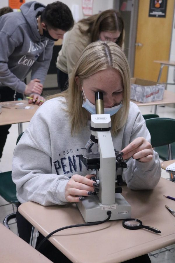 Looking+through+the+microscope%2C+senior+Dylyn+Nichols+examines+different+hair+fibers.+On+Nov.+11%2C+the+Forensic+Science+classes+inspected+hair%2C+soil+and+rock+samples.