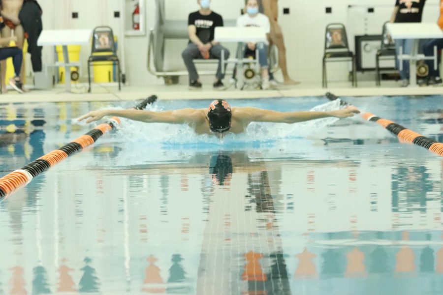 Swimming his first duel meet of the season, senior Tristan Bakker glides down the lane. On Dec. 16, the Fenton Tigers took victory over the Holly Bronchos. 
