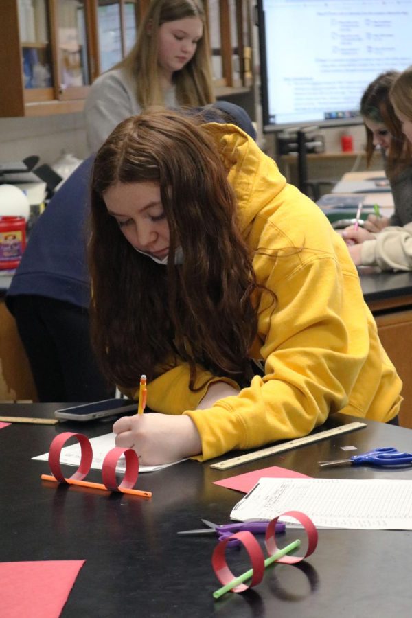 Drawing, sophomore Mackenzi Kline sketches a bird. In FHS teacher Heather Thomass Biology class on Feb. 16, students created models of birds and flew them to see the different flight paths of bird development.
