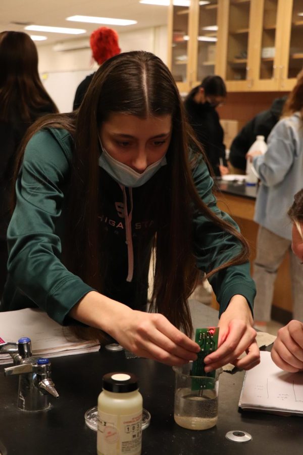 While+participating+in+a+lab%2C+senior+Laura+Singer+tests+which+substances+are+conductive.++On+Feb.+9%2C+Fenton+High+teacher+Charles+Millers+chemistry+classes+learned+about+conductors+and+insulators.+