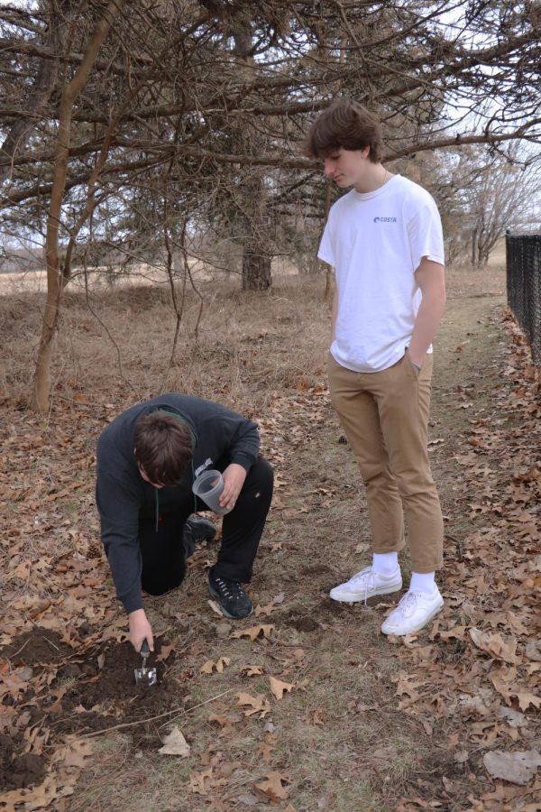 Digging in the dirt, freshman Jaiden Tambs and Connor McDermott look for worms to feed their class pet. On March 19, students went out near the FHS pond to try and find food for physical science teacher Nicholaus Jeffreys new pet axolotl.