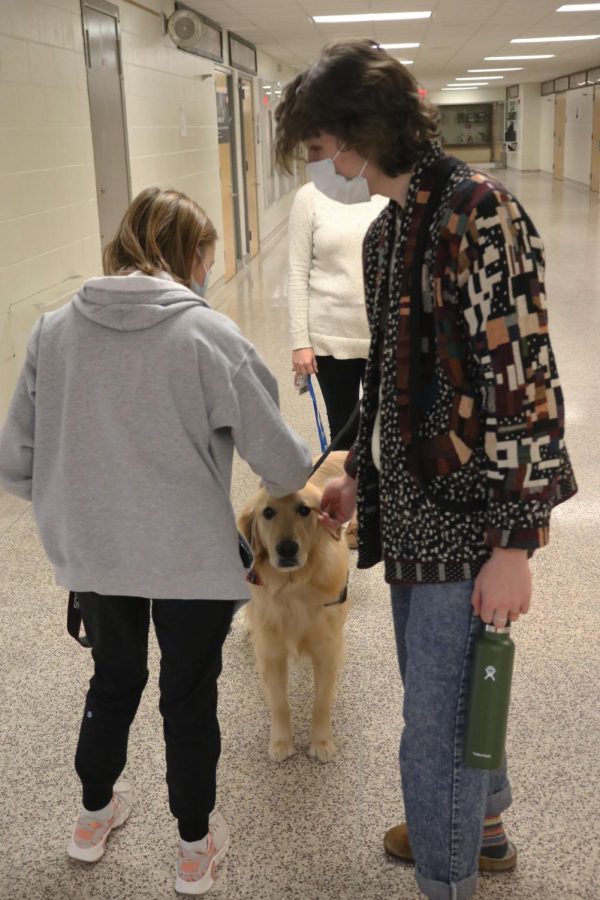 Senior Kiersten Lapa and junior Matthew Allor pet FHS Certified Therapy Animal, Sunny.  On Feb. 7, Sunny greeted students in the hallway with his handler, Media Center Specialist Rachel Hassel. 
