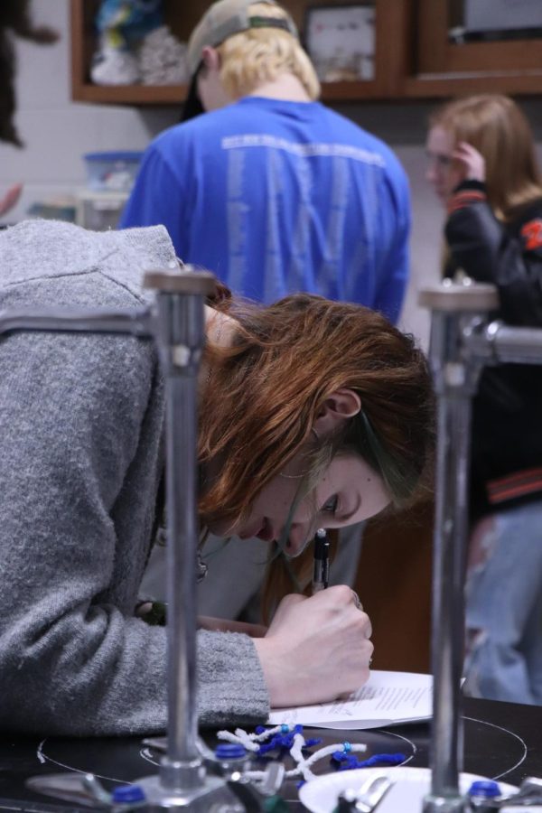 Reporting her results, sophomore Makayla Rensi conducts a lab about chromosomes. On March 21, Heather Thomass biology classes used the lab to further understand chromosomes.