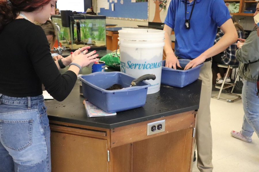 Junior Emma Dubie planting seeds in Mr. Jefferys room in SRT. On April 19. Mr Jeffery had students come into his room and plant seeds in starter pots. 