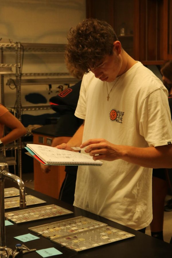 Participating in an anatomy lab, senior Tyler Hahn figures out which type of muscle he has to draw on his paper. On Sept. 1, FHS anatomy teacher Misheal Kunji hosted a lab teaching his students about muscle tissue.