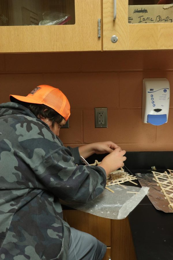 Building, Junior Spencer Lawrence focuses on his popsicle stick bridge. On Oct,17 FHS physics teacher Jason Kasaks 6th hour has been constructing bridges to see how much weight they can hold.