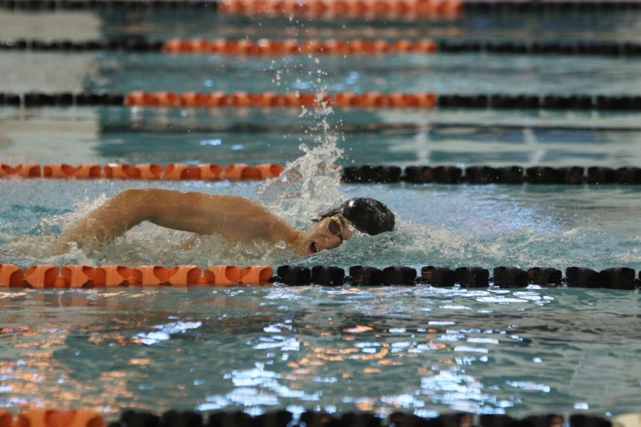 Racing to the wall, senior Luke DeFina swims the 500-yard freestyle. On Jan. 5, the Tigers took on the Kearsley Hornets. 