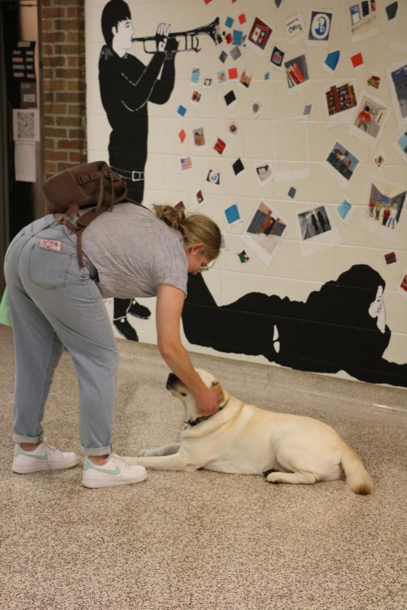 Fenton High Schools therapy dog Sunny gets pet by a students parent. On Sept. 6 FHS hosted an open house for the student parents at the Fenton High School.