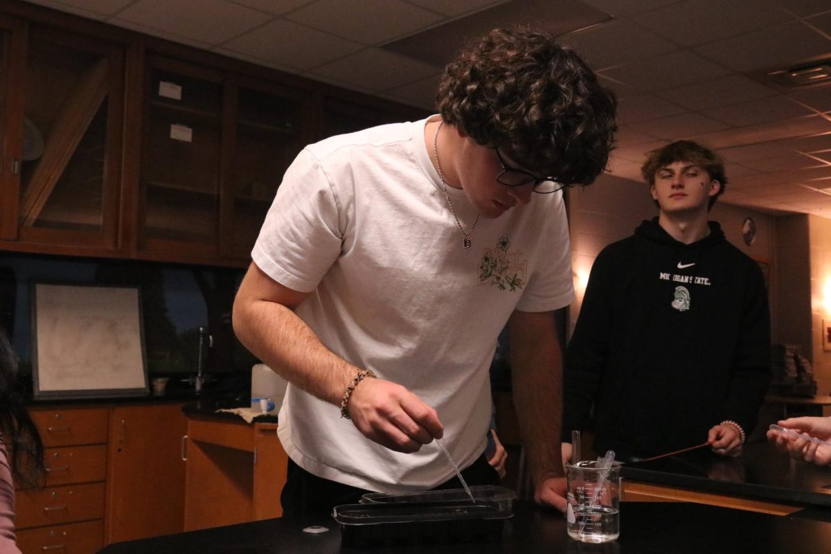 Watering his plants, junior Jadon Burnau drops water onto them. On Oct. 31, the students in IB Biology held an experiment.