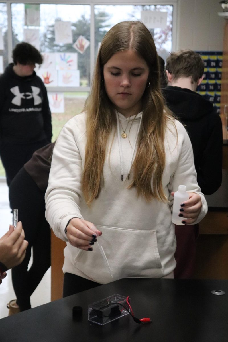Holding a dropper, Sophomore Haley Eltringham drops hydrogen into a container of water. On Dec. 5, Mr. Millers class completed a lab. 