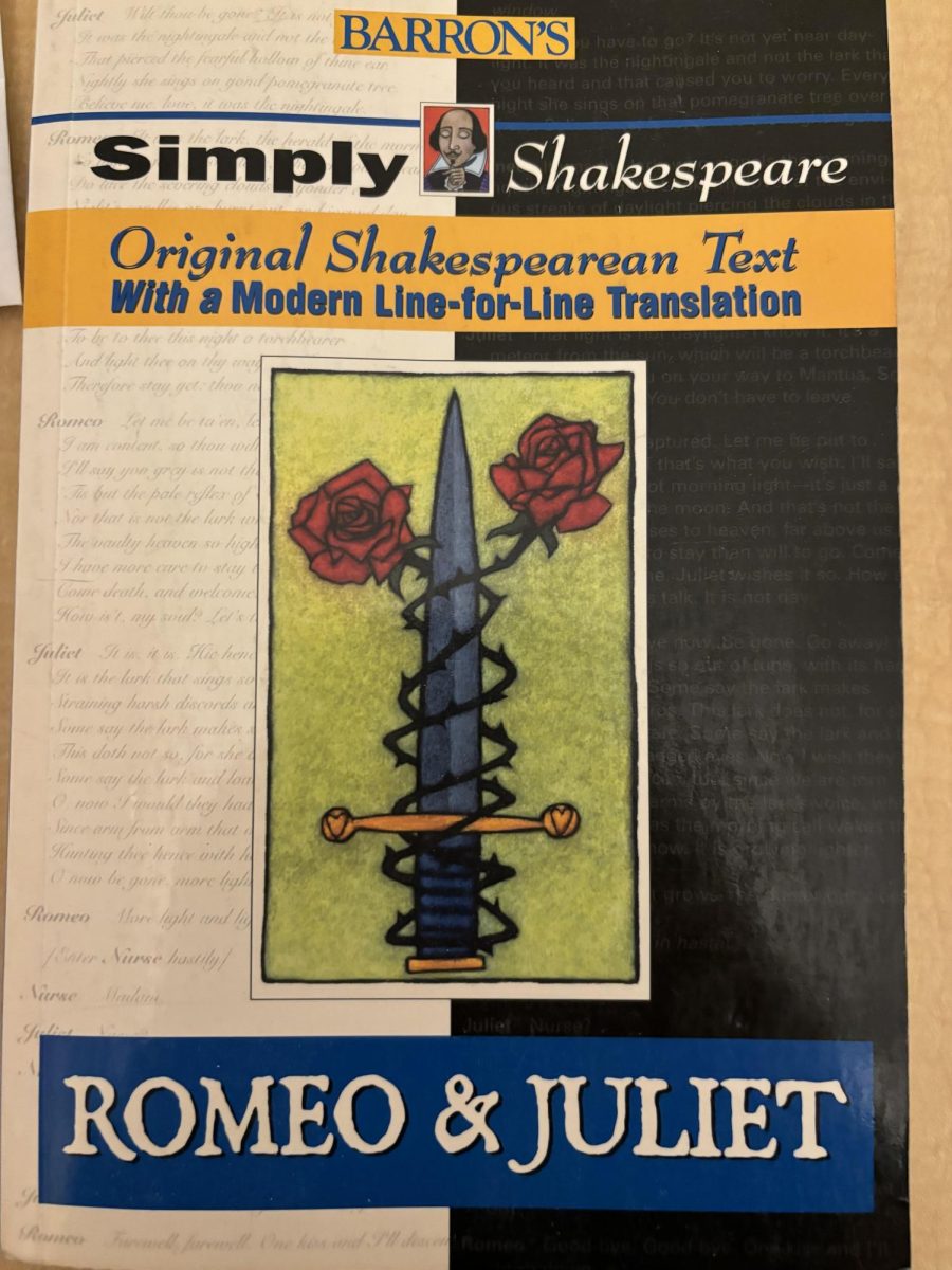 Importance and challenges of studying Shakespeare