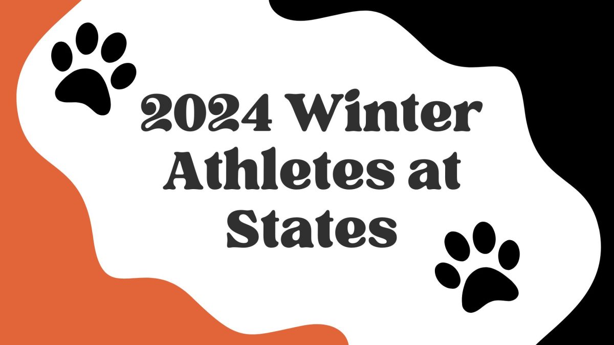 Winter athletes that went to states