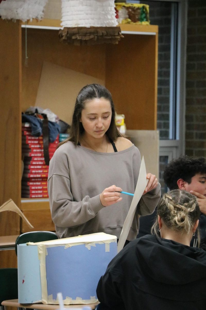 Decorating, sophomore Reese Ruso ands final touches to her pinata. On March. 14, Mrs. Fischers spanish class decorates pinatas.