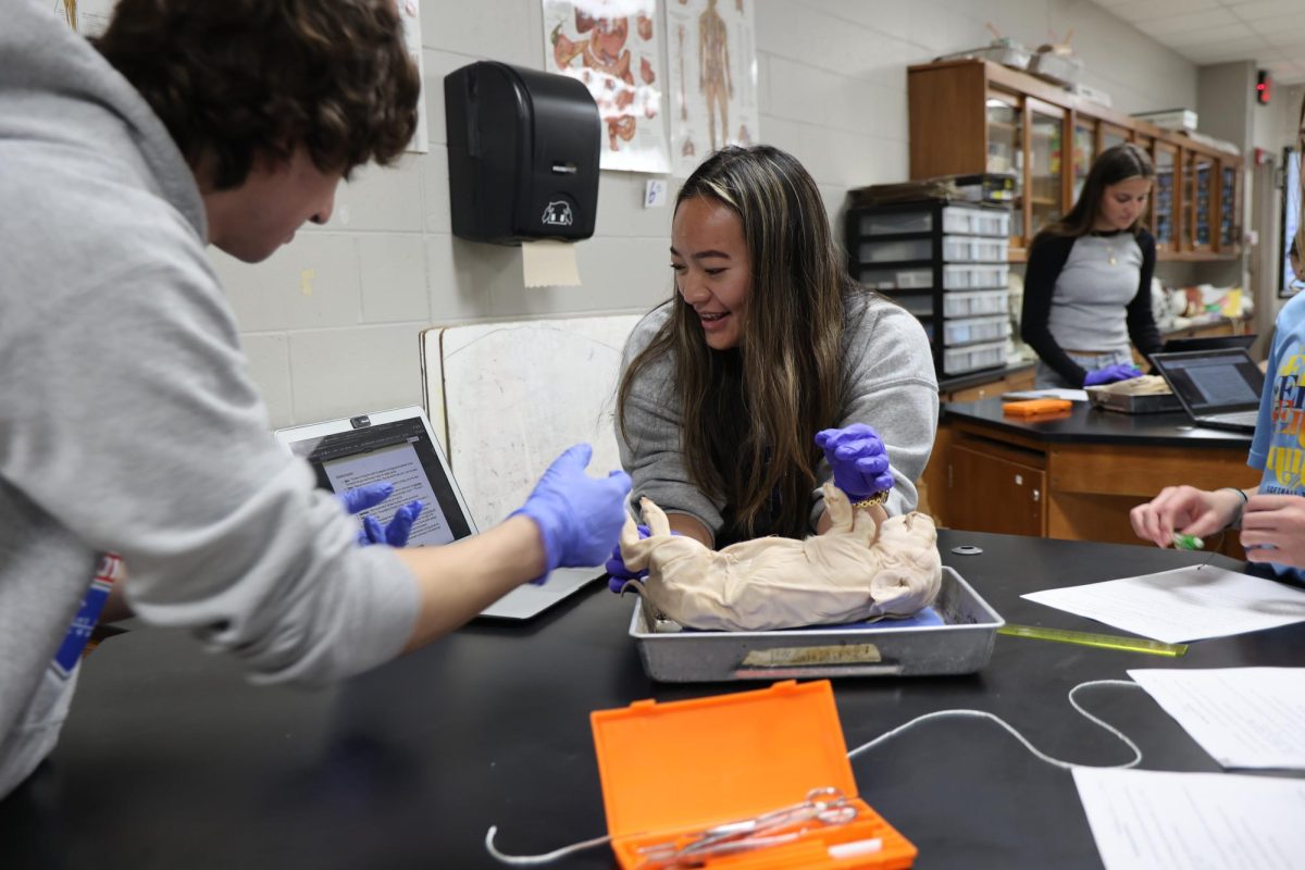 Getting ready to dissect, junior Owen Cox and senior Josie Xiong read the directions to get started on their lab. On April 25, Mrs. Thomass anatomy class participated in a lab for a fetal pig dissection.