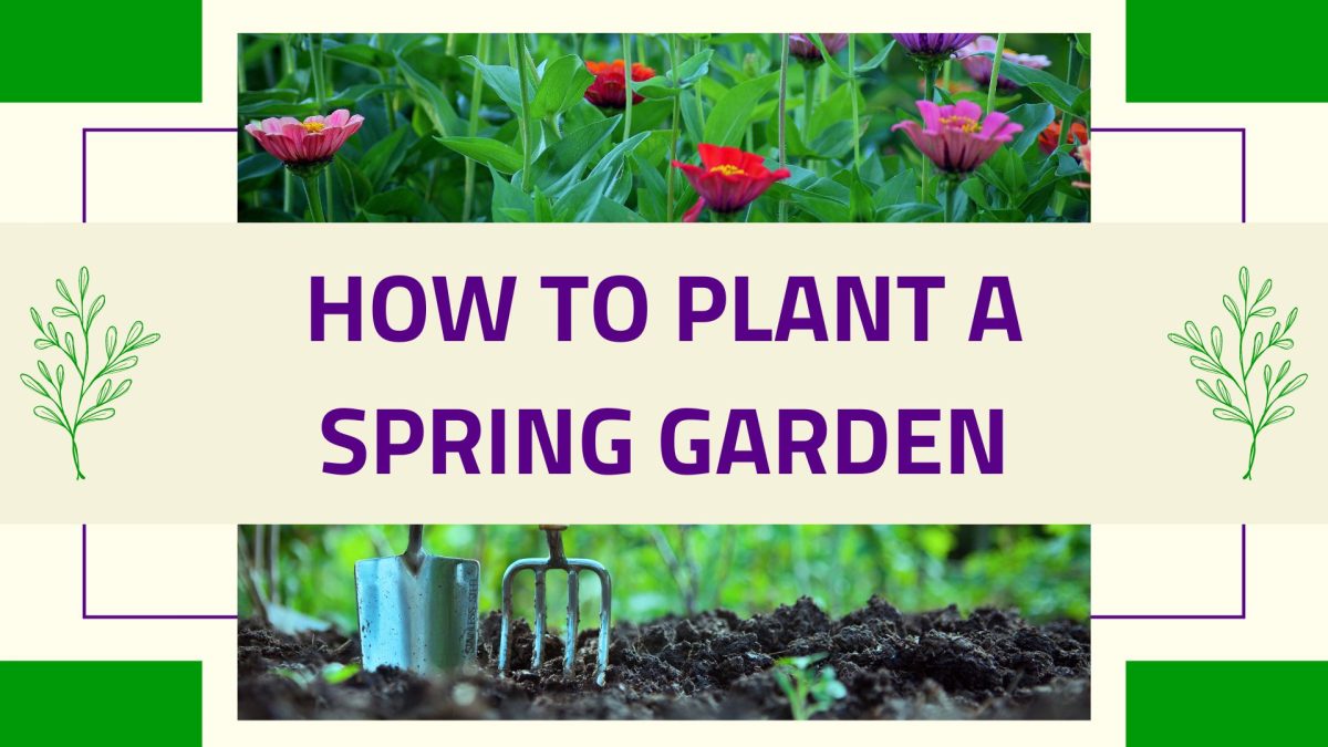 How to plant a spring garden