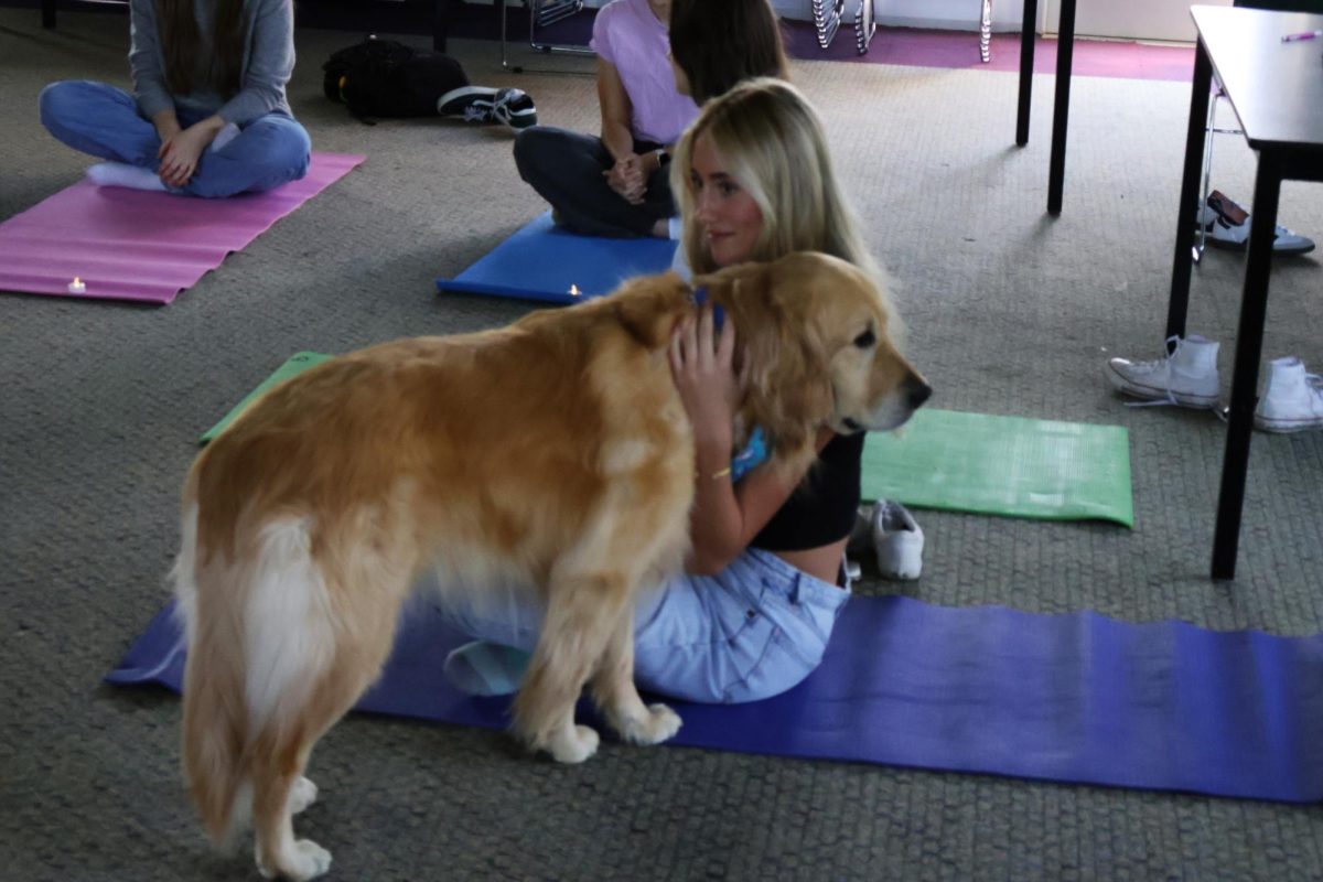 Sitting, Senior Sophie Smith pets Sunny. On April 15, Rachael Hassle hosts yoga in the project rooms.