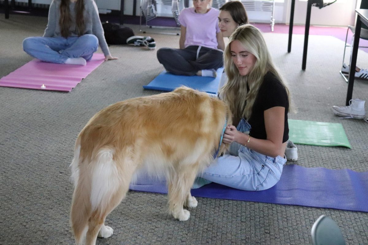 Petting Sunny, Senior Sophia Smith sits on her yoga mat. On April 16, librarian Rachael Hassle hosted a yoga session in the project room during SRT.