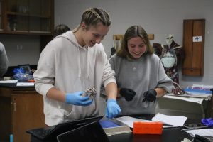 Completing their assignment, seniors Lily Turkowski and Allie Mowery dissect a heart. On March 20, the students in anatomy participated in a heart dissection.