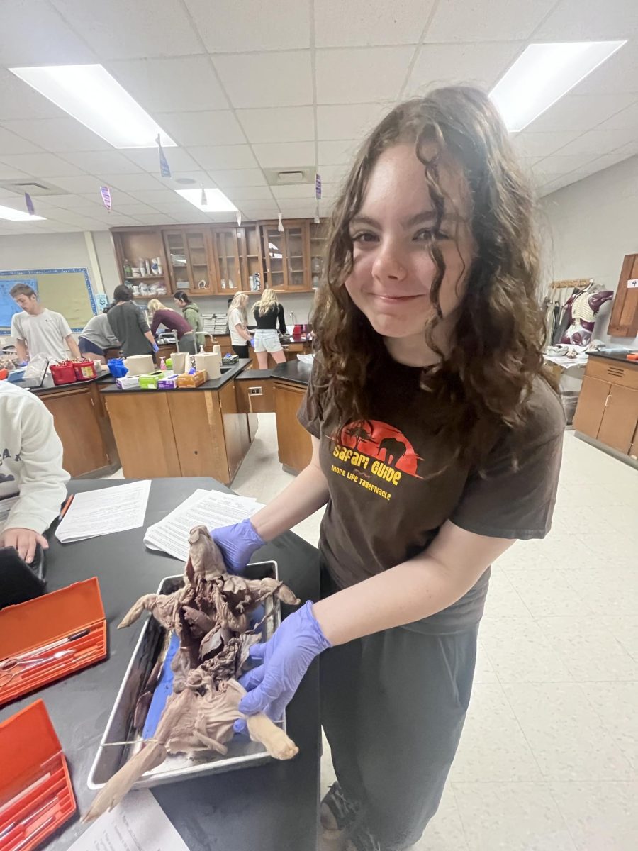 “I participate in IB theater and help with sound for the Fenton Ambassadors. Outside of school, I like to go hiking and go on walks. After school I plan on pursuing sociology. One of my favorite classes at the moment is Anatomy and Physiology with Ms. Thomas. My favorite thing we’ve done so far this year is dissecting the fetal pigs.” - junior Bella Butzine
