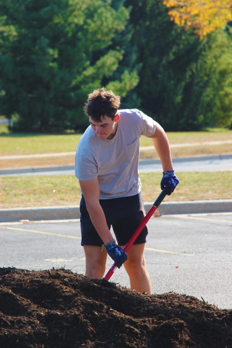 Working, senior Lucas Hamlin helps redo the mulch. On Oct. 11, ECO club lead Fenton High Schools mulch redo in the parking lot. 