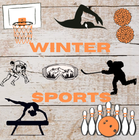 A Guide to Fenton High’s Cold-Weather Sports