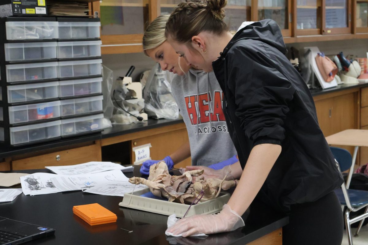 Reading, seniors Sophia Markley and Olivia Kowalski, look at the instructions during their pig dissection. On May 2nd, Mrs Thomas held a pig lab dissection. 
